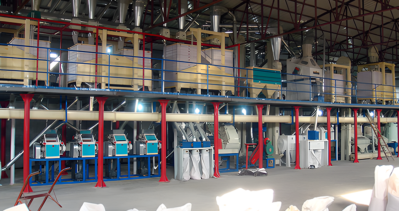 Coarse Cereals Plant