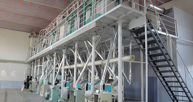 Coarse Cereals Plant