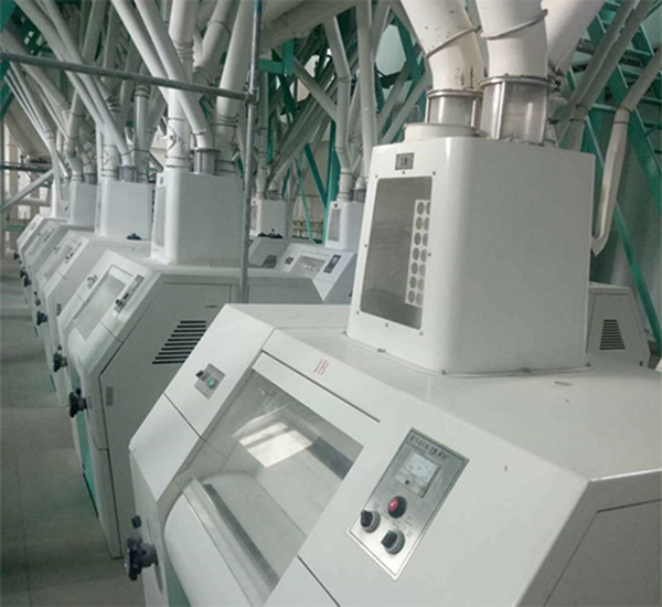 China 250TPD Wheat flour mill machine plant