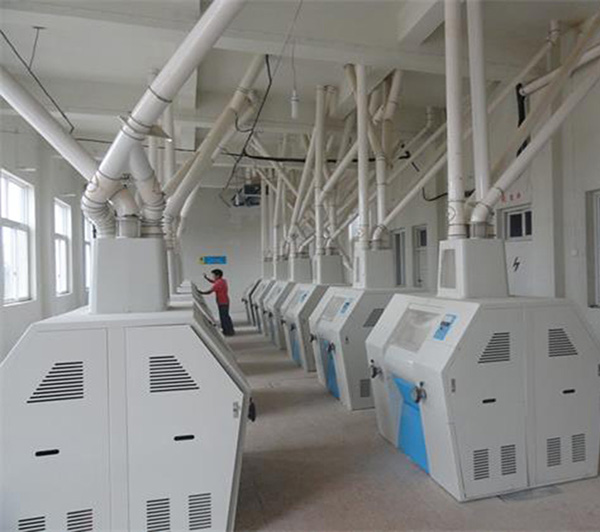 China 250TPD Wheat flour mill machine plant