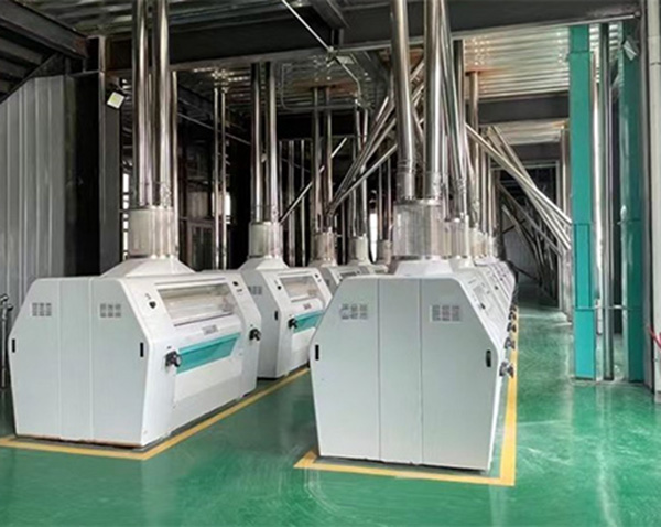 Africa full automatic 100T maize milling machine price
