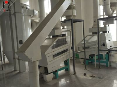 100Ton per day Semolina flour milling machine plant