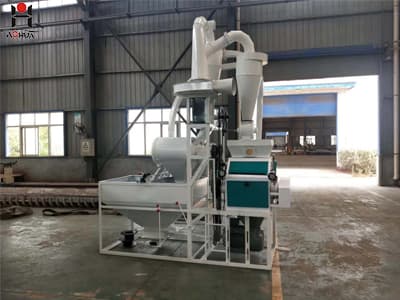 10T/24Hours Wheat Flour mill machine