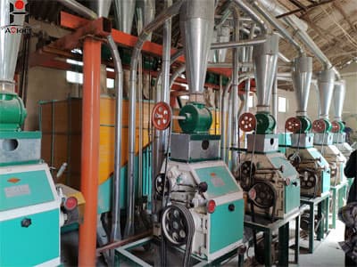 15tpd wheat mill equipment plant flour milling machine