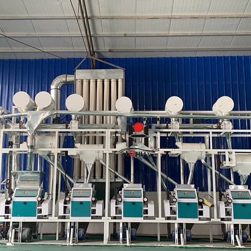 20 ton per day wheat flour mill plant milling equipment