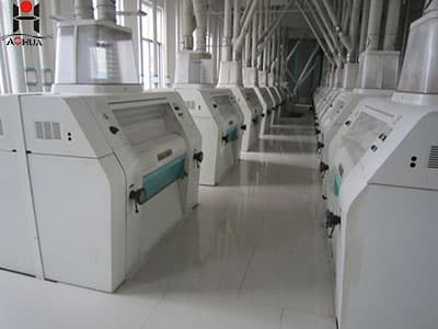 High capacity semolina machine wheat flour milling production line from China