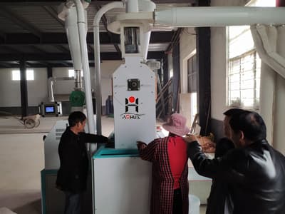 Low cost mini plant small wheat flour mill processing plant for sale