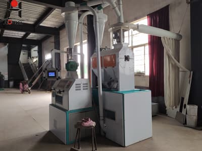 New 5 ton per day maize wheat flour milling machine