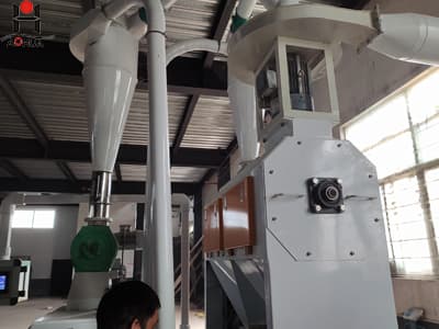 Small scale wheat flour mill hammer grinding machine price list