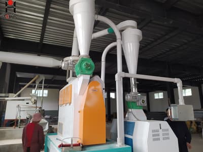 Wheat flour milling machine mini electric mill plant
