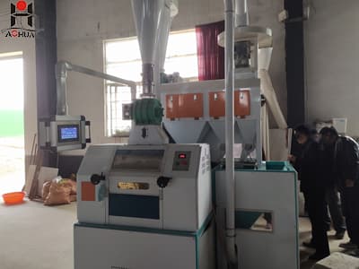 Wheat flour milling machine roller mills grain with price