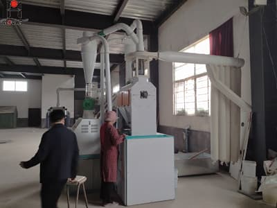 10 ton per day complete maize flour milling line corn milling machine for africa market