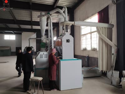 Automatic wheat flour milling machinery Mini wheat flour mill machine