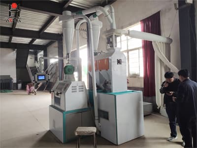 Best Selling Wheat Flour Milling Machine / Wheat Flour Mill Machinery For Small Business