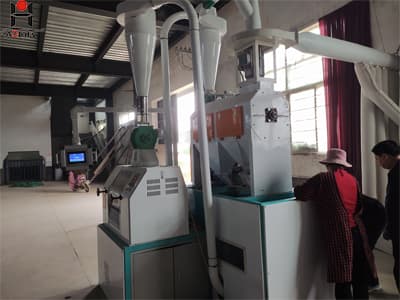 High Efficiency wheat flour mill For exporting attac maida machine
