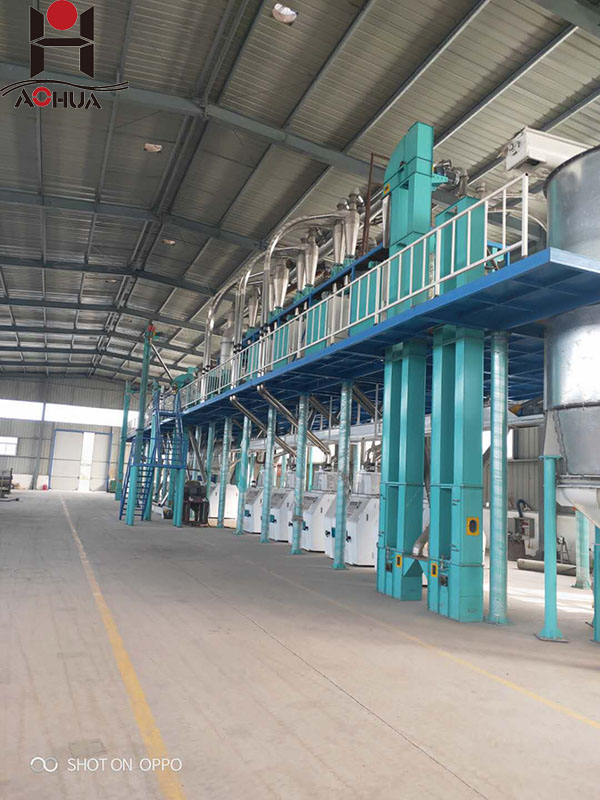 Industry Small Scale Automatic Roller Flour mill plant