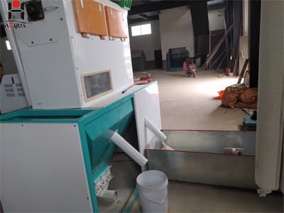 Low price 5-300 ton per day wheat flour milling machine