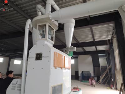 Low price flour mill plant wheat flour making machine