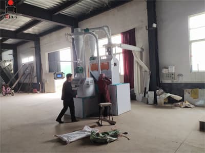 Small scale china wheat maize corn flour grits milling machine for sale