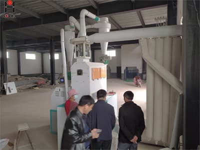 Small scale wheat flour mill factory wheat flour production plant