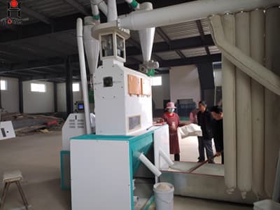 Small wheat flour mill machinery with low prices sweet potato flour making machine