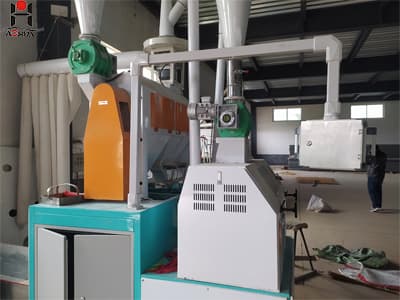 Super quality mini wheat flour mill price 10tpd milling machine plant