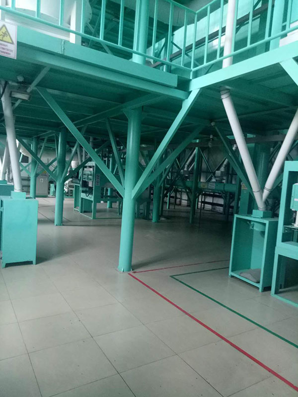 qualified maize roller mill wheat flour mill price