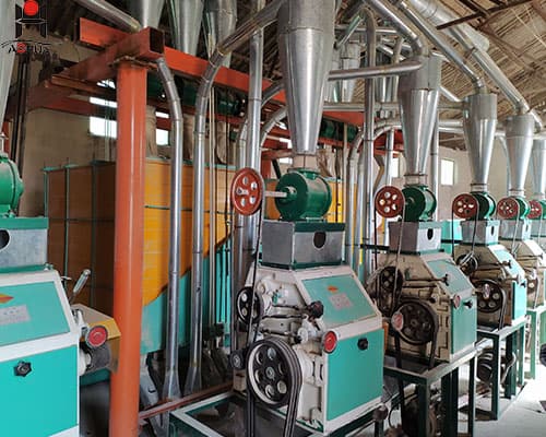 wheat flour mill plant/wheat flour processing plant