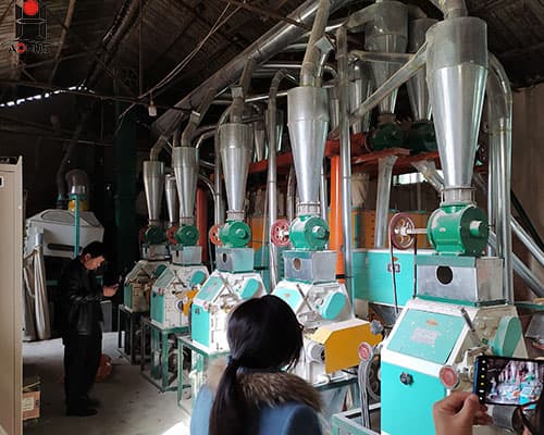 Wheat milling machine/wheat grinding machine price/wheat crushing machine