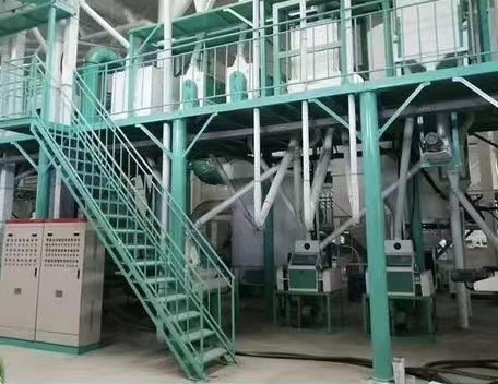 30TPD wheat flour mill