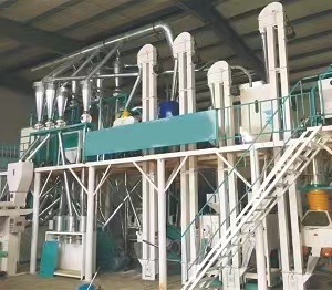 30TPD corn processing plant