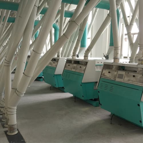 500TPD wheat flour mill