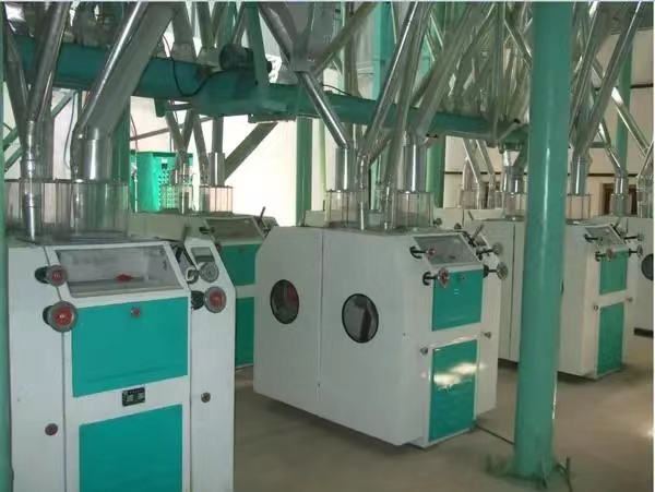 Wheat Flour Mill