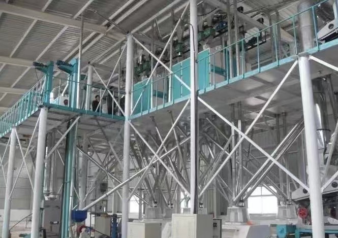 Precooked corn flour processing plant