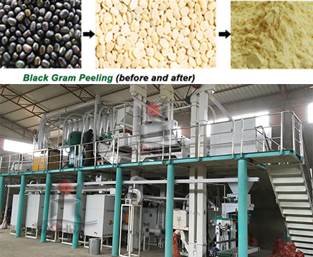 Black Gram Processing Plant
