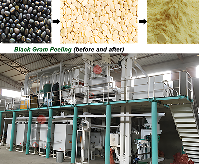 Black Gram Processing Plant