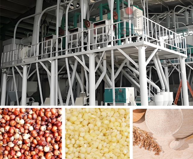 Sorghum Dehulling/peeling And Kernel Making complete plant