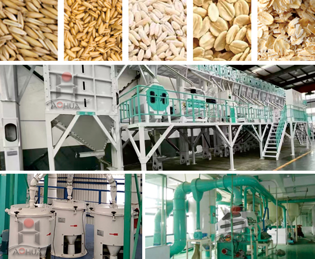 Oat Flakes Production Line