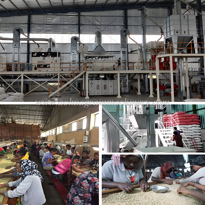 Coffee Beans Cleaning Line