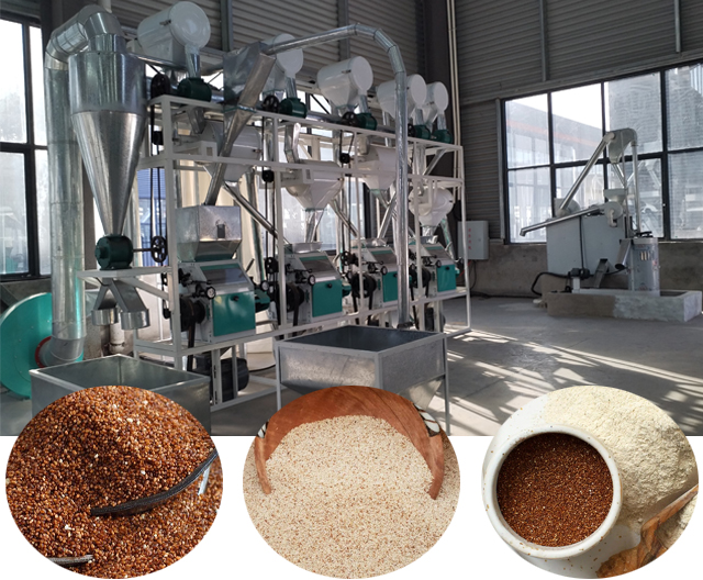 Teff Flour Processing Equipment