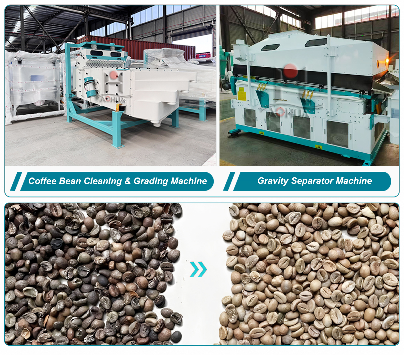 Dry Processing Equipment for Kenya, Uganda & Ethiopia